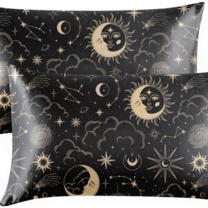 EXQ Home Satin Pillowcase for Hair and Skin Queen - Black Printed Silk Pillow Cases 2 Pack 20x30 inches - Satin Pillow Cases Set of 2 with Envelope Closure, Gifts for Women Men